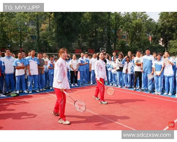 吴伟独家分享排球心得与技巧助你提升球技的全方位指南