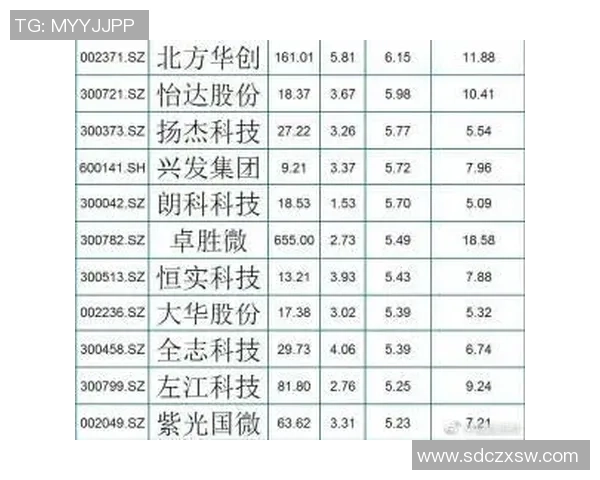 广州羽毛球队在全国锦标赛中的个人能力表现分析与点评