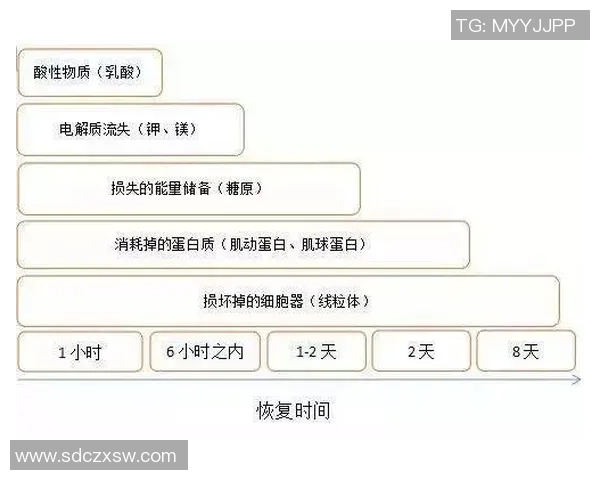 足球明星之间的复杂关系揭秘图解了解他们的友谊与竞争背后的故事 足球明星之间的复杂关系揭秘图解了解他们的友谊与竞争背后的故事