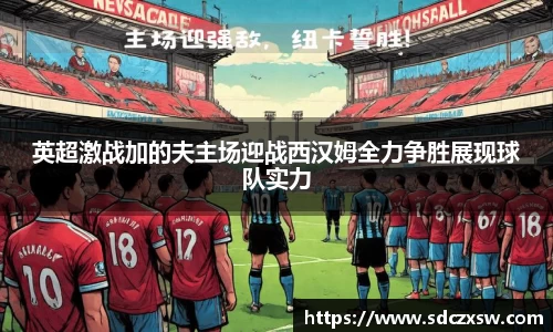 米兰体育官网