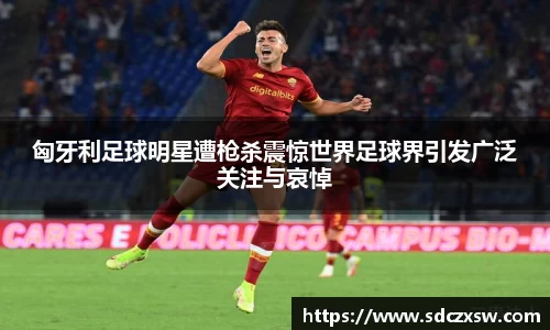 匈牙利足球明星遭枪杀震惊世界足球界引发广泛关注与哀悼